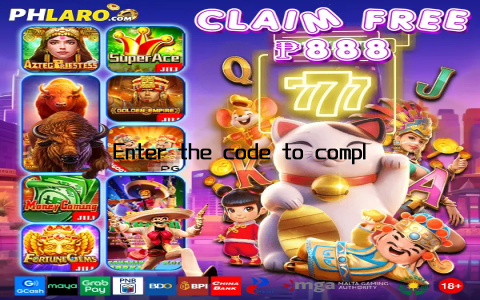Enter the code to complete the login process