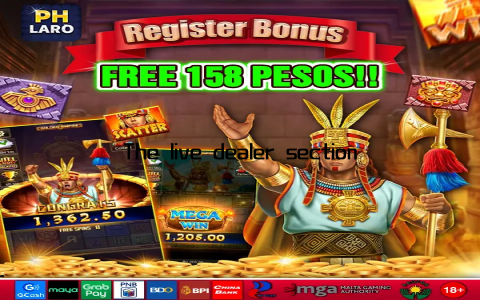 The live dealer section was a game-changer for me