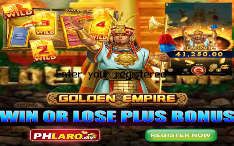 Enter your registered email address and password